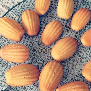 madeleines2.jpg